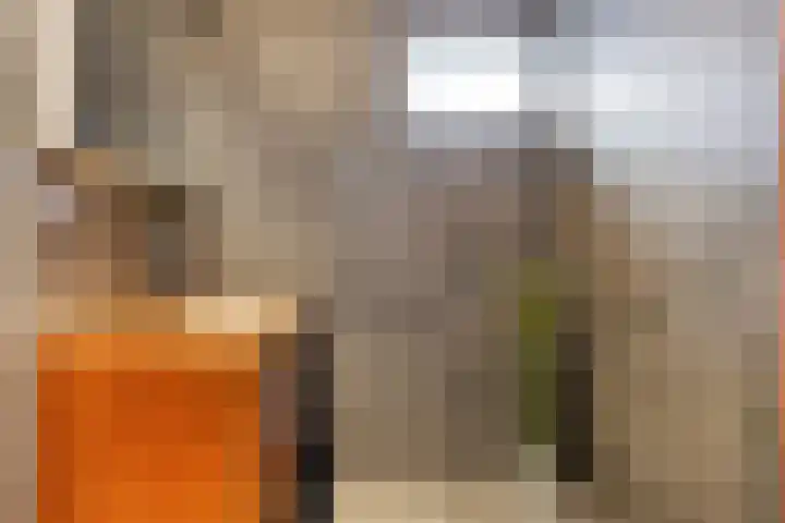 Motet 14 Kampen thumbnail 37