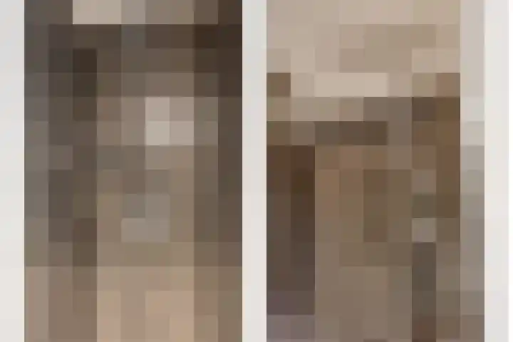 Motet 14 Kampen thumbnail 39