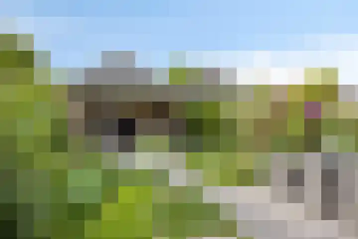 Motet 14 Kampen thumbnail 4