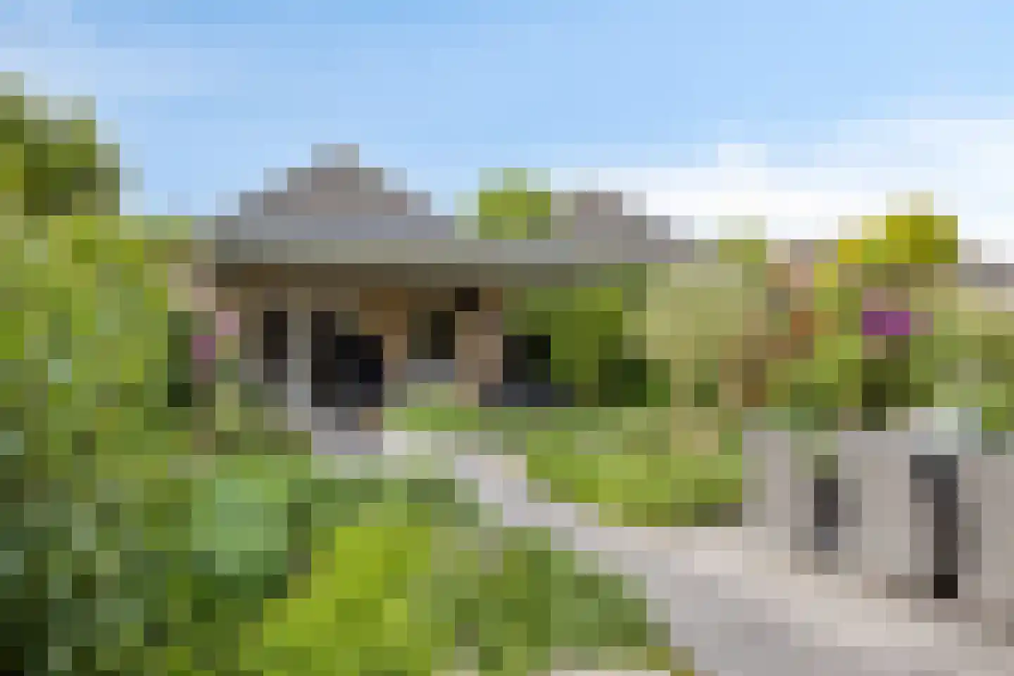 Motet 14 Kampen thumbnail 4