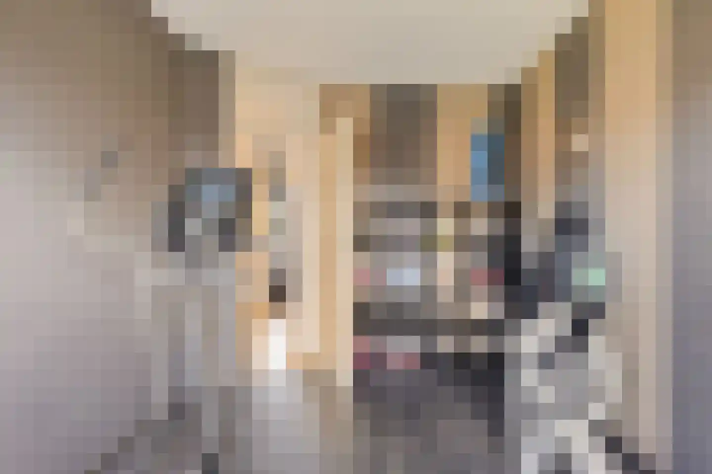 Motet 14 Kampen thumbnail 44
