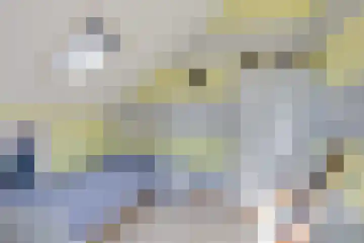 Motet 14 Kampen thumbnail 47