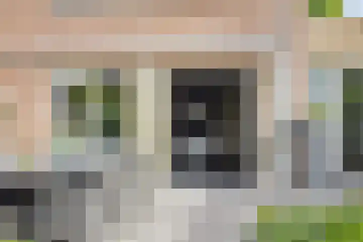 Motet 14 Kampen thumbnail 49