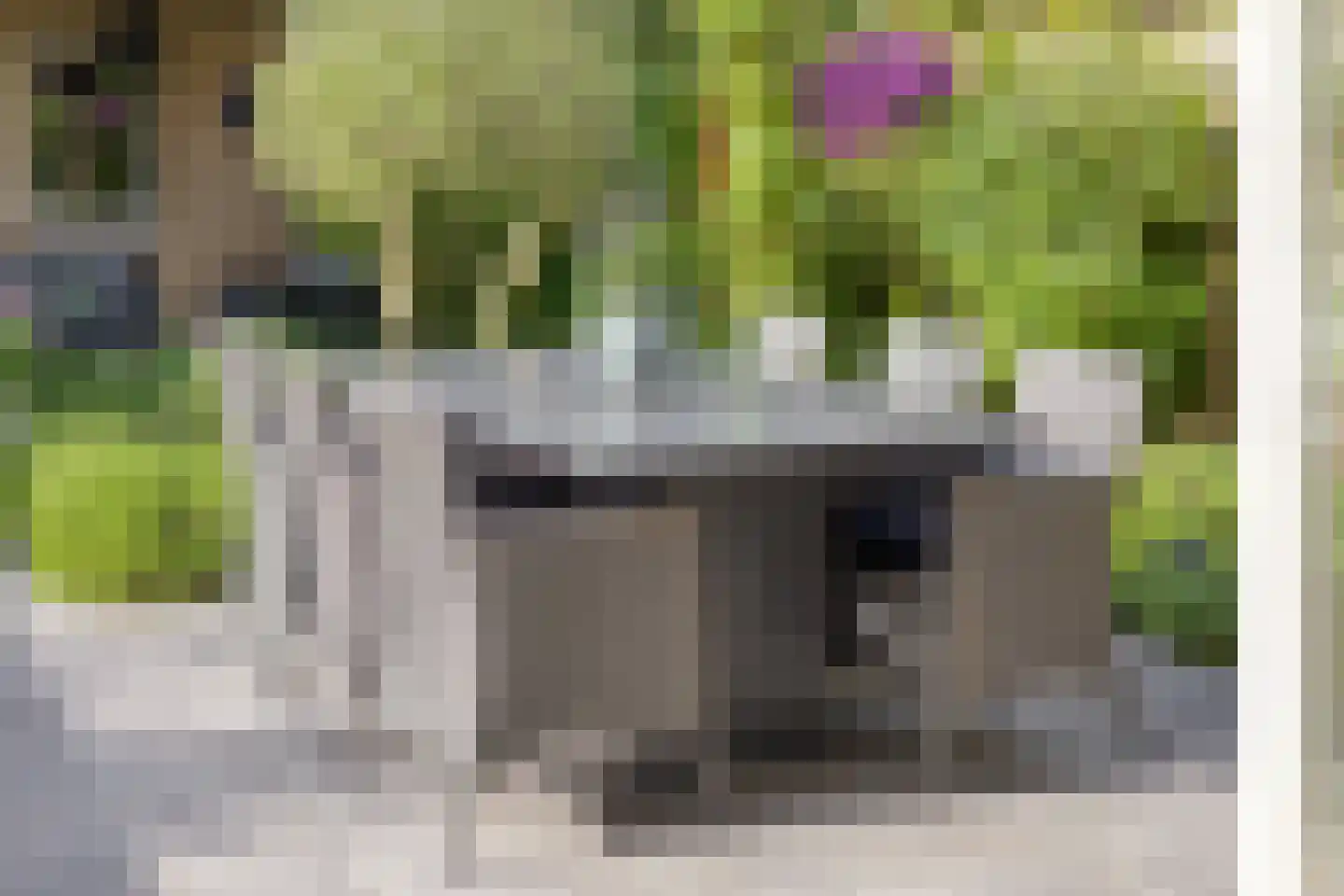 Motet 14 Kampen thumbnail 52