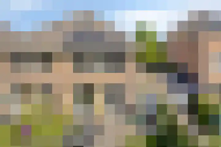 Motet 14 Kampen thumbnail 57