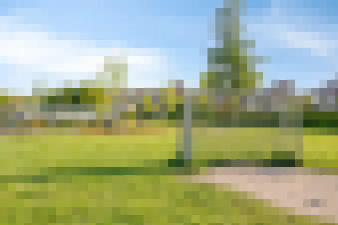 Motet 14 Kampen thumbnail 61