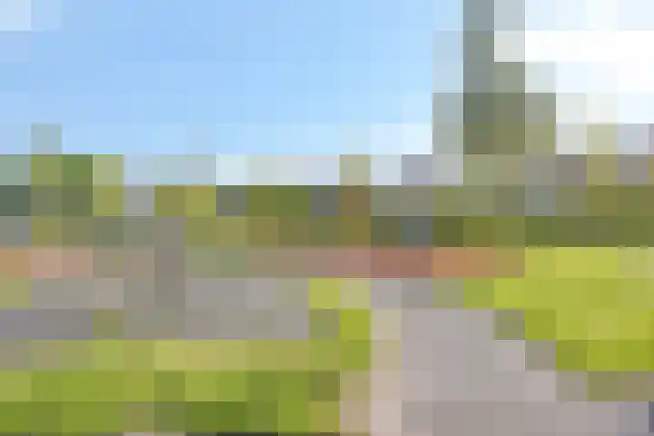 Motet 14 Kampen thumbnail 62