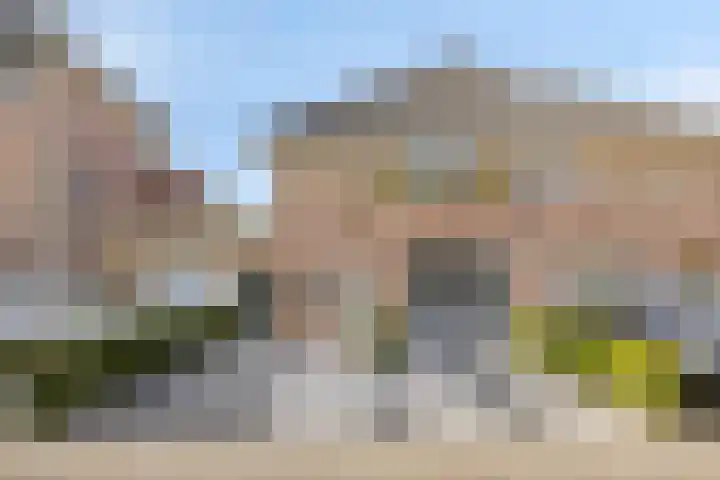 Motet 14 Kampen thumbnail 7
