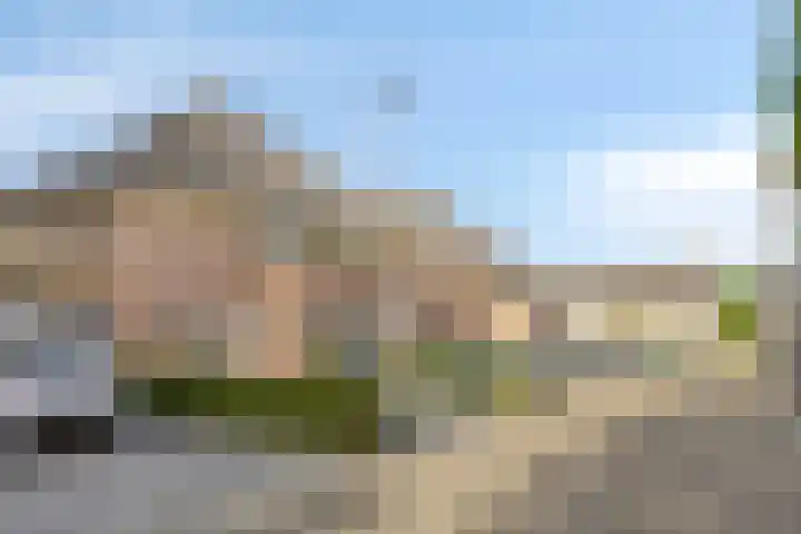 Motet 14 Kampen thumbnail 8