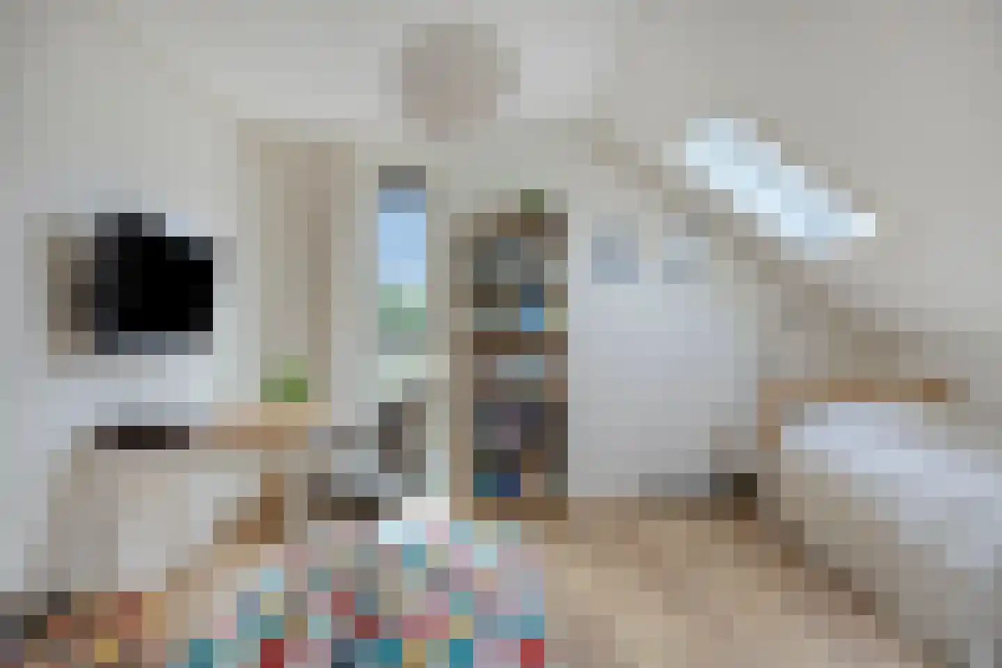 Motet 51 Kampen thumbnail 33