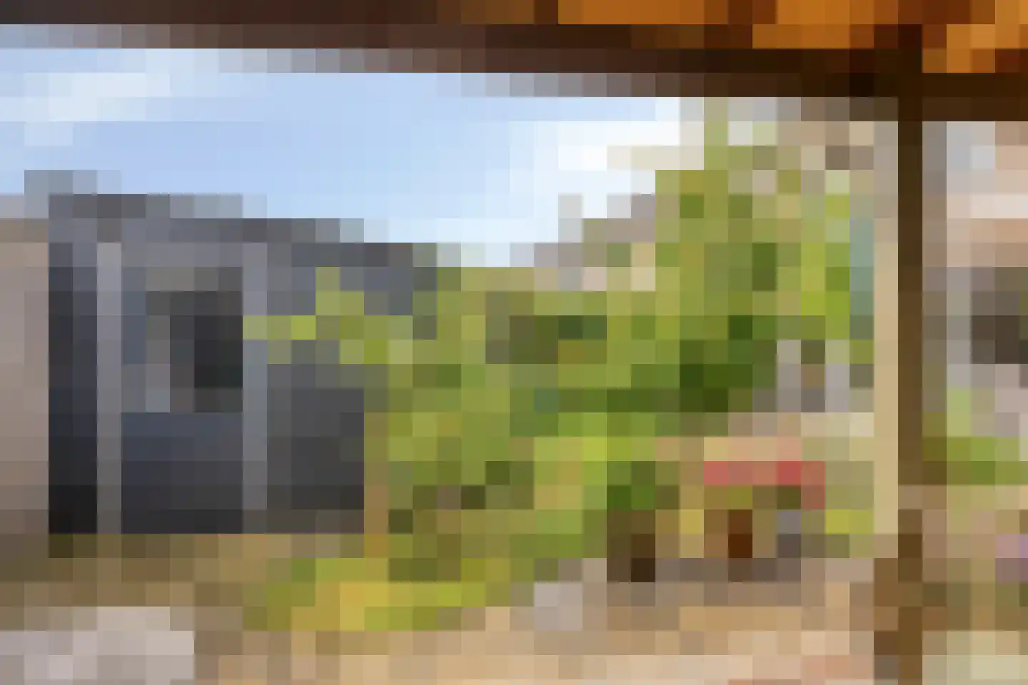 Motet 51 Kampen thumbnail 44