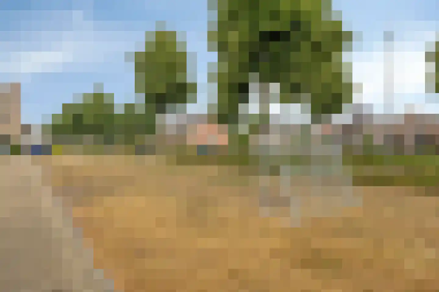 Motet 51 Kampen thumbnail 47