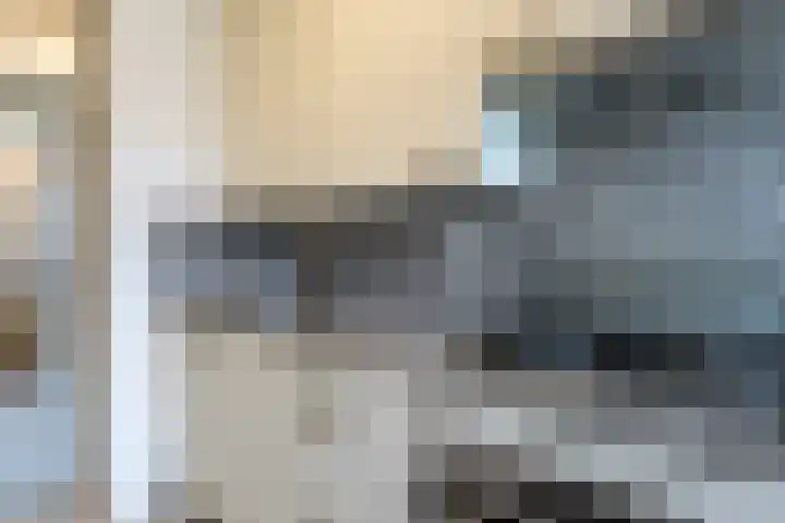 Motetpad 45 Nijmegen thumbnail 10