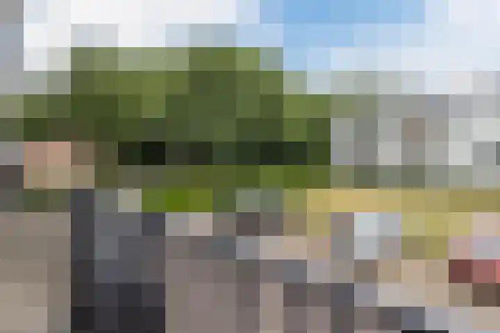 Motetpad 45 Nijmegen thumbnail 16