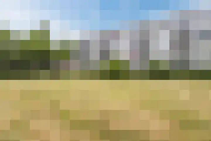 Motetpad 45 Nijmegen thumbnail 18