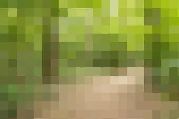 Motetpad 45 Nijmegen thumbnail 19