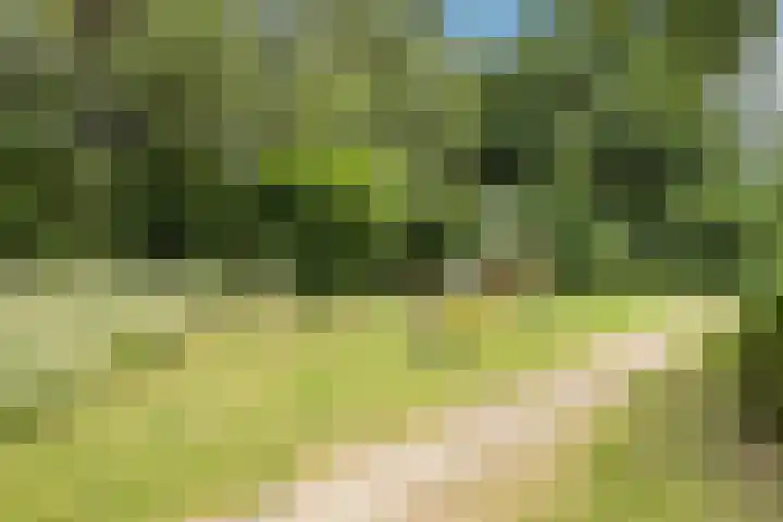 Motetpad 45 Nijmegen thumbnail 20