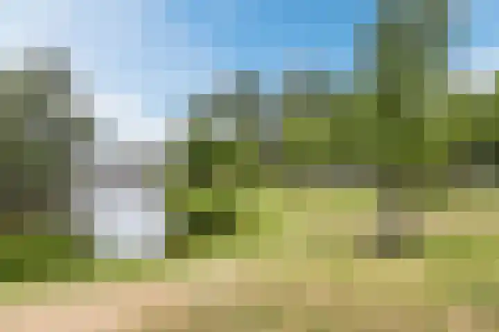 Motetpad 45 Nijmegen thumbnail 21