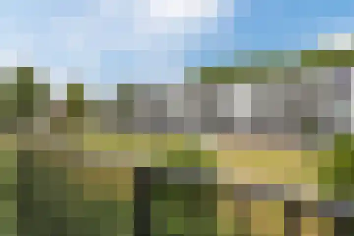Motetpad 45 Nijmegen thumbnail 5