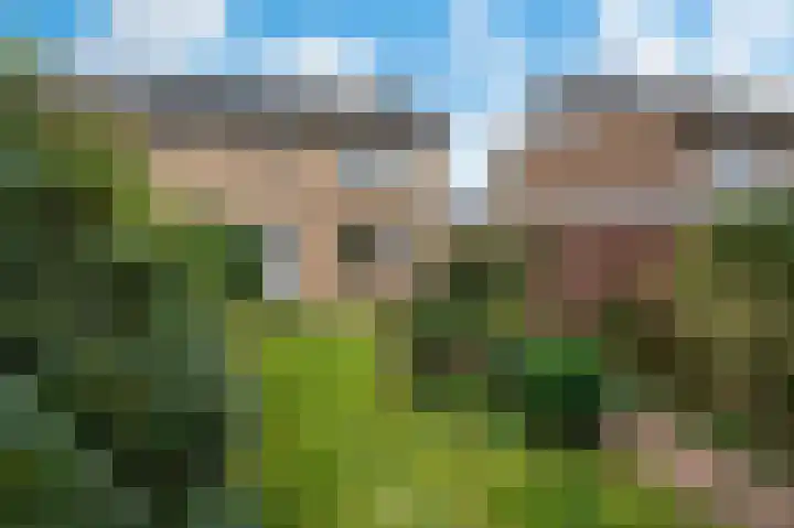 Motetstraat 12 Apeldoorn thumbnail 22