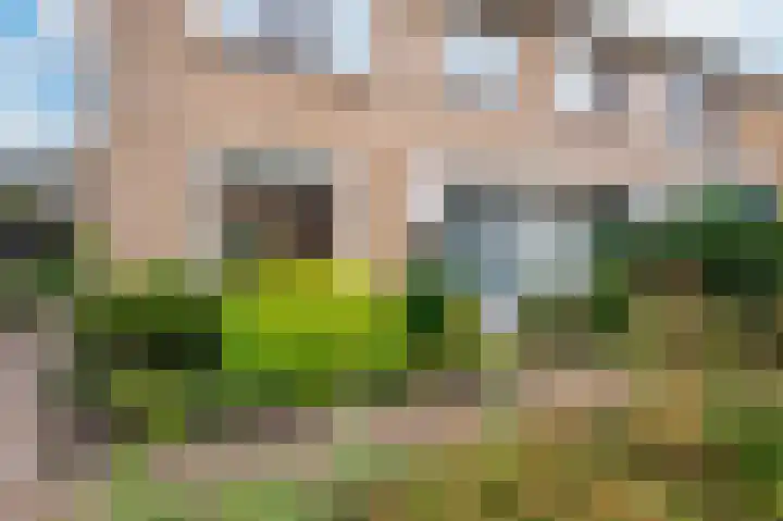 Motetstraat 12 Apeldoorn thumbnail 26