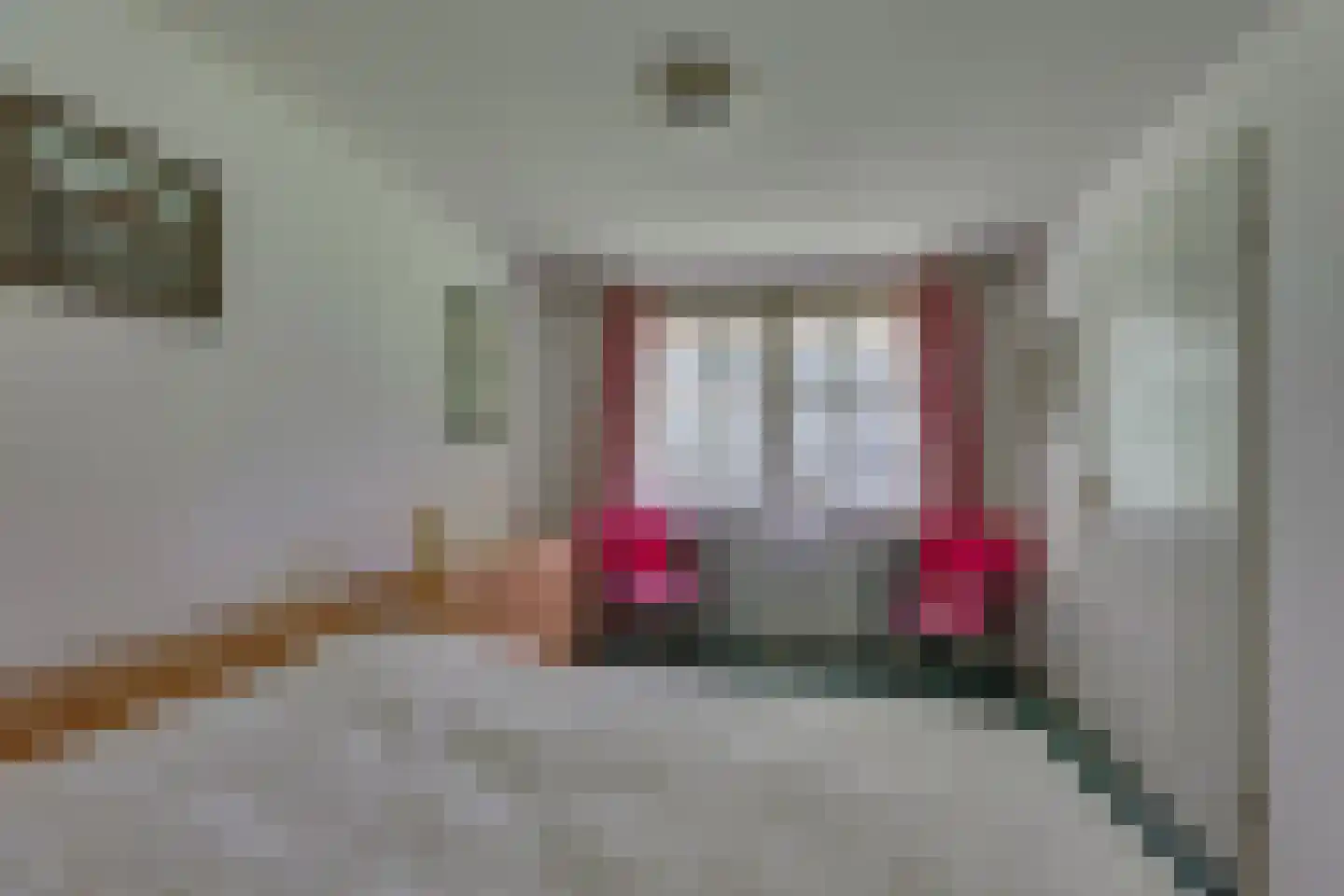 Motieweg 13 Holten thumbnail 17