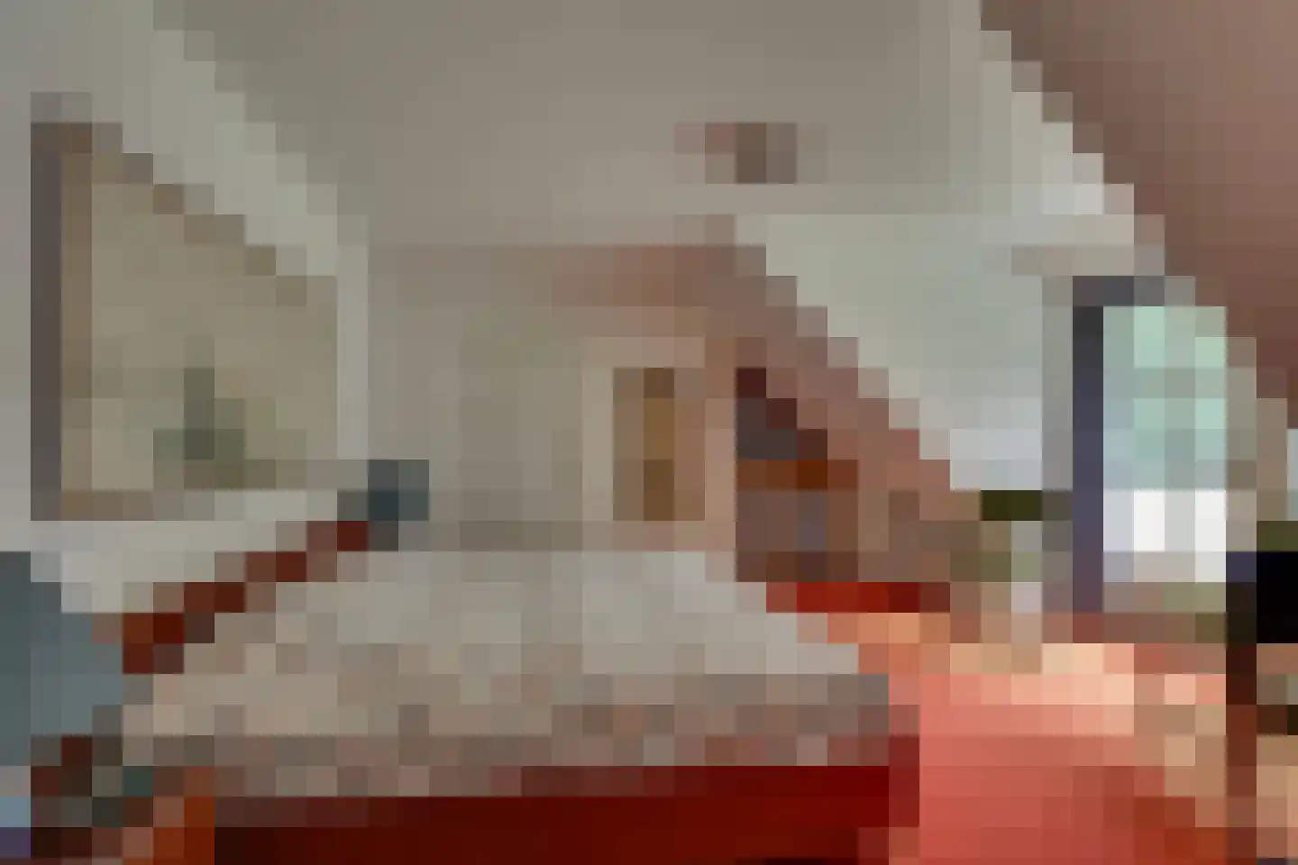 Motieweg 13 Holten thumbnail 23