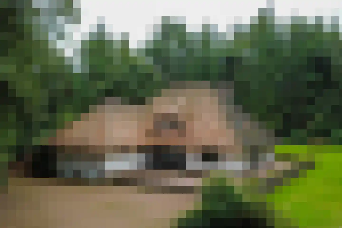 Motieweg 13 Holten thumbnail 41