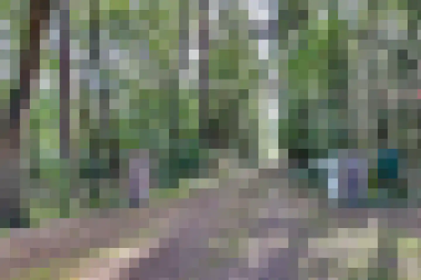 Motieweg 13 Holten thumbnail 43