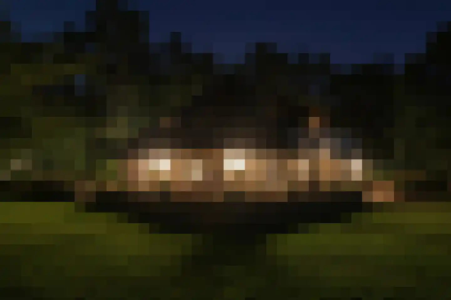 Motieweg 13 Holten thumbnail 49