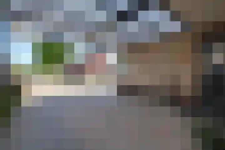 Motketel 14 Wehl thumbnail 12