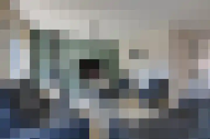 Motketel 14 Wehl thumbnail 22