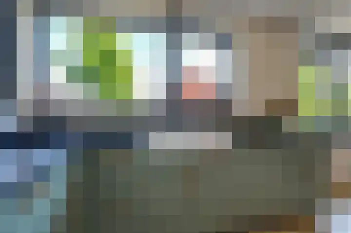 Motketel 14 Wehl thumbnail 34