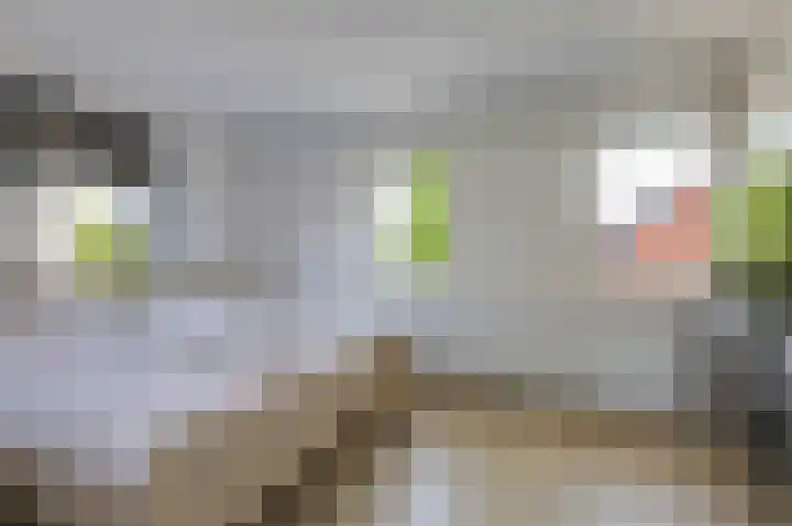 Motketel 14 Wehl thumbnail 38