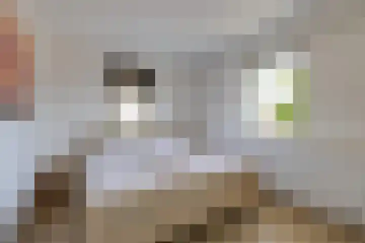 Motketel 14 Wehl thumbnail 39