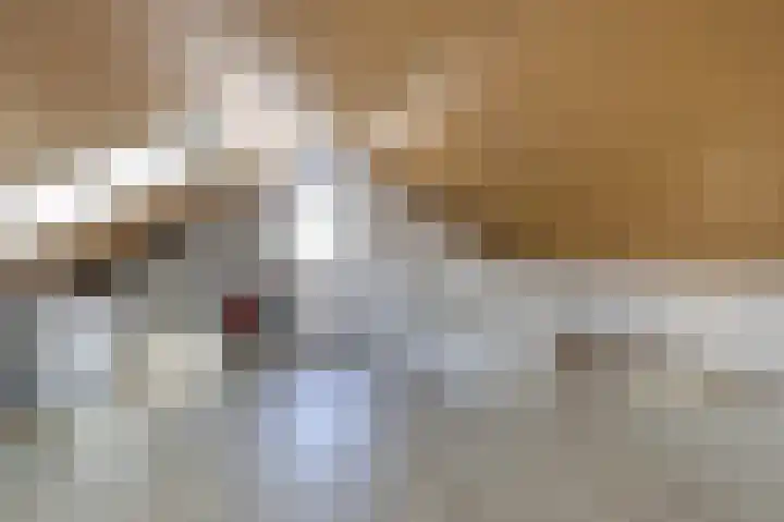 Motketel 14 Wehl thumbnail 54