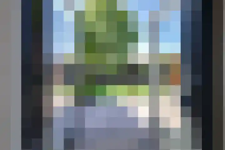 Motketel 14 Wehl thumbnail 55