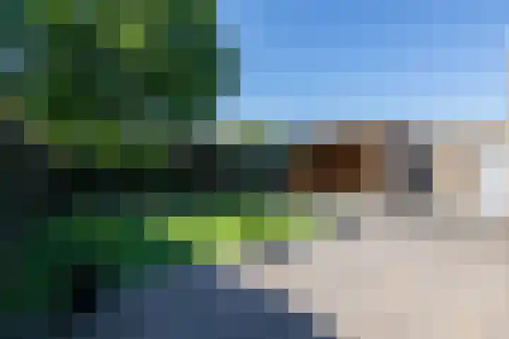 Motketel 14 Wehl thumbnail 57