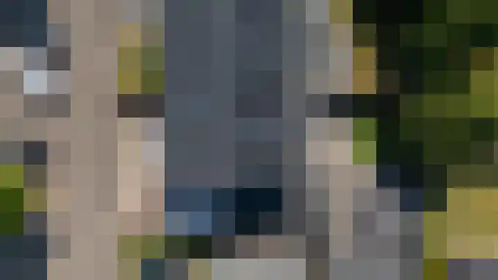 Motketel 14 Wehl thumbnail 64