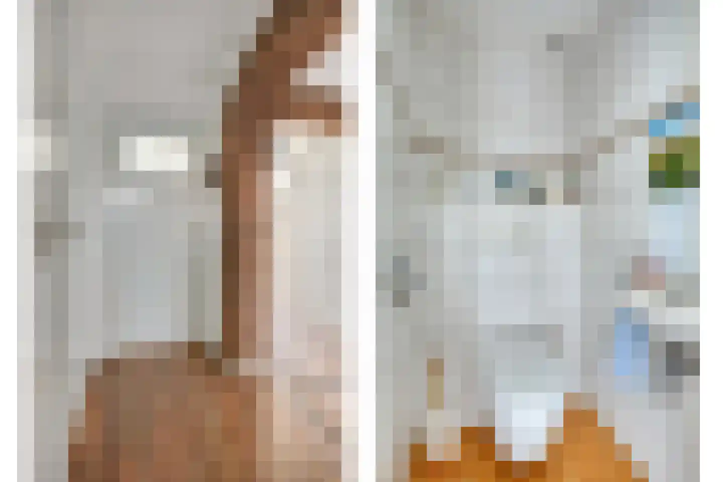 Motorkade 5 Ossenzijl thumbnail 10