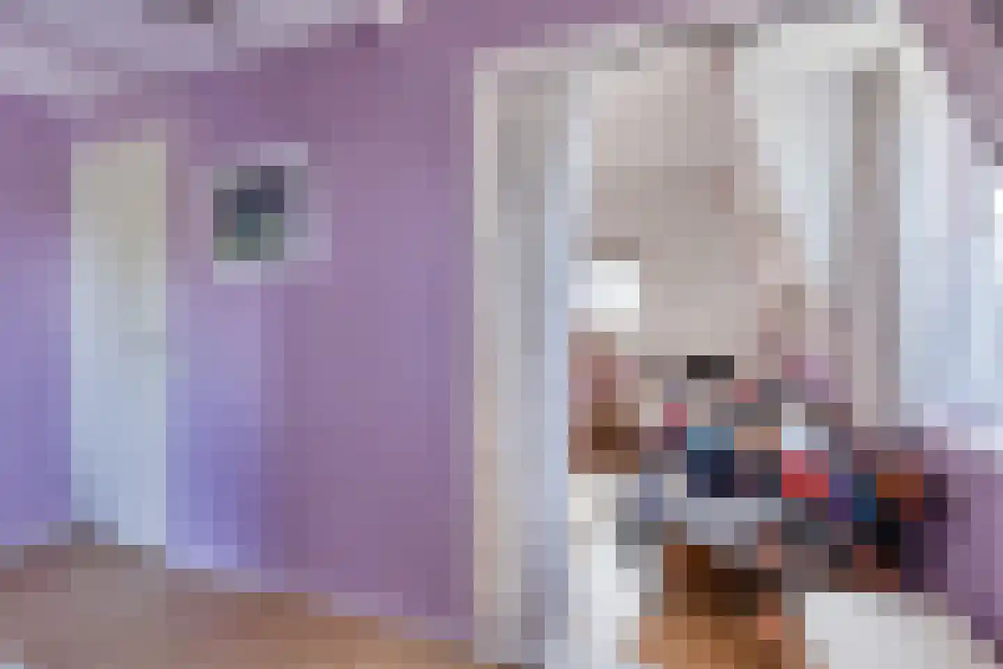 Motorkade 5 Ossenzijl thumbnail 17