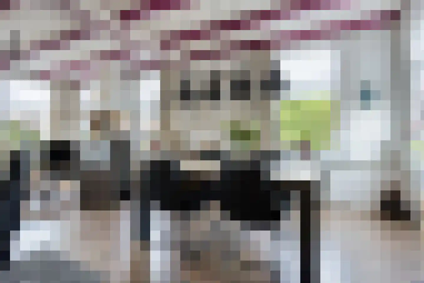 Motorkade 5 Ossenzijl thumbnail 4