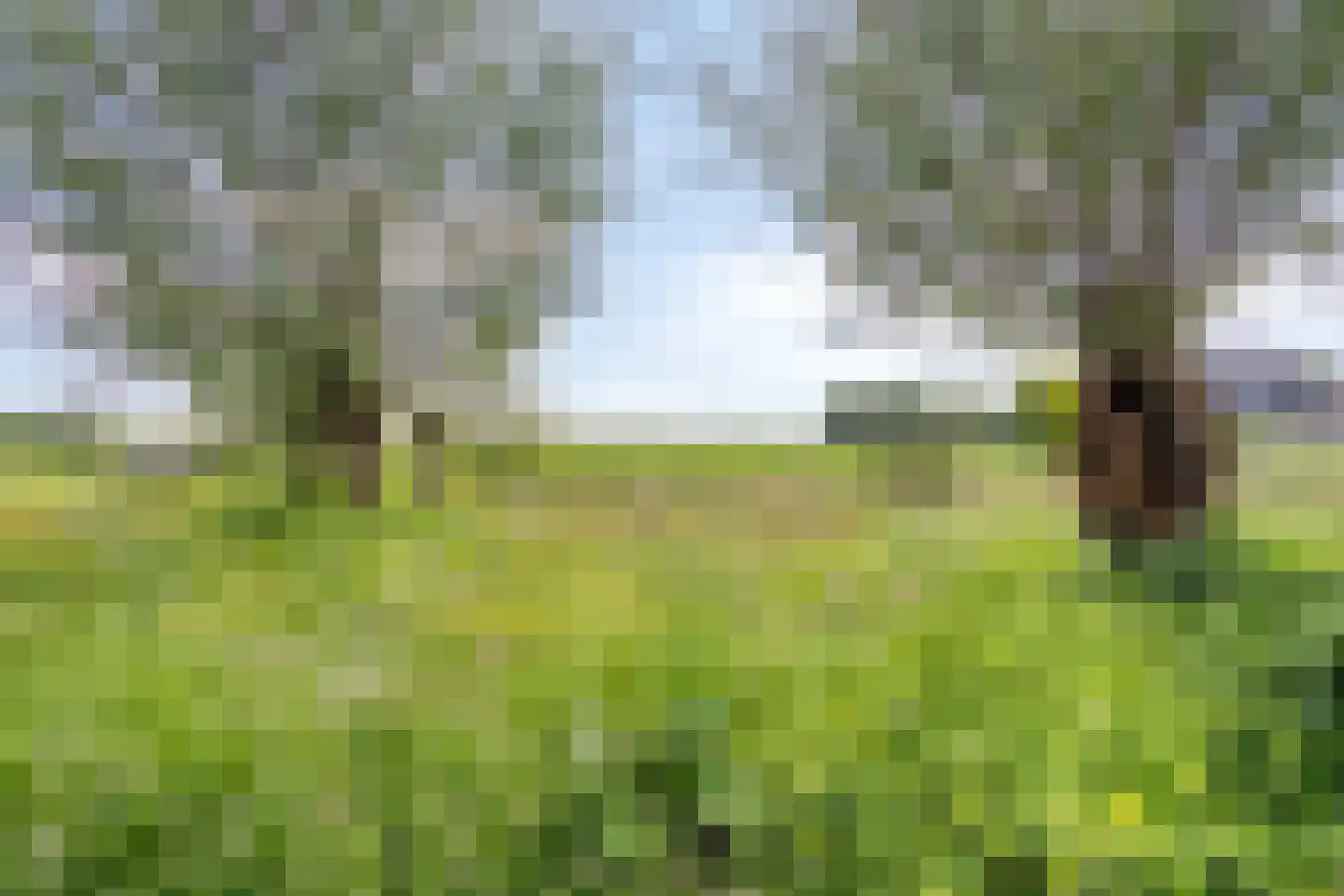 Motorkade 5 Ossenzijl thumbnail 40