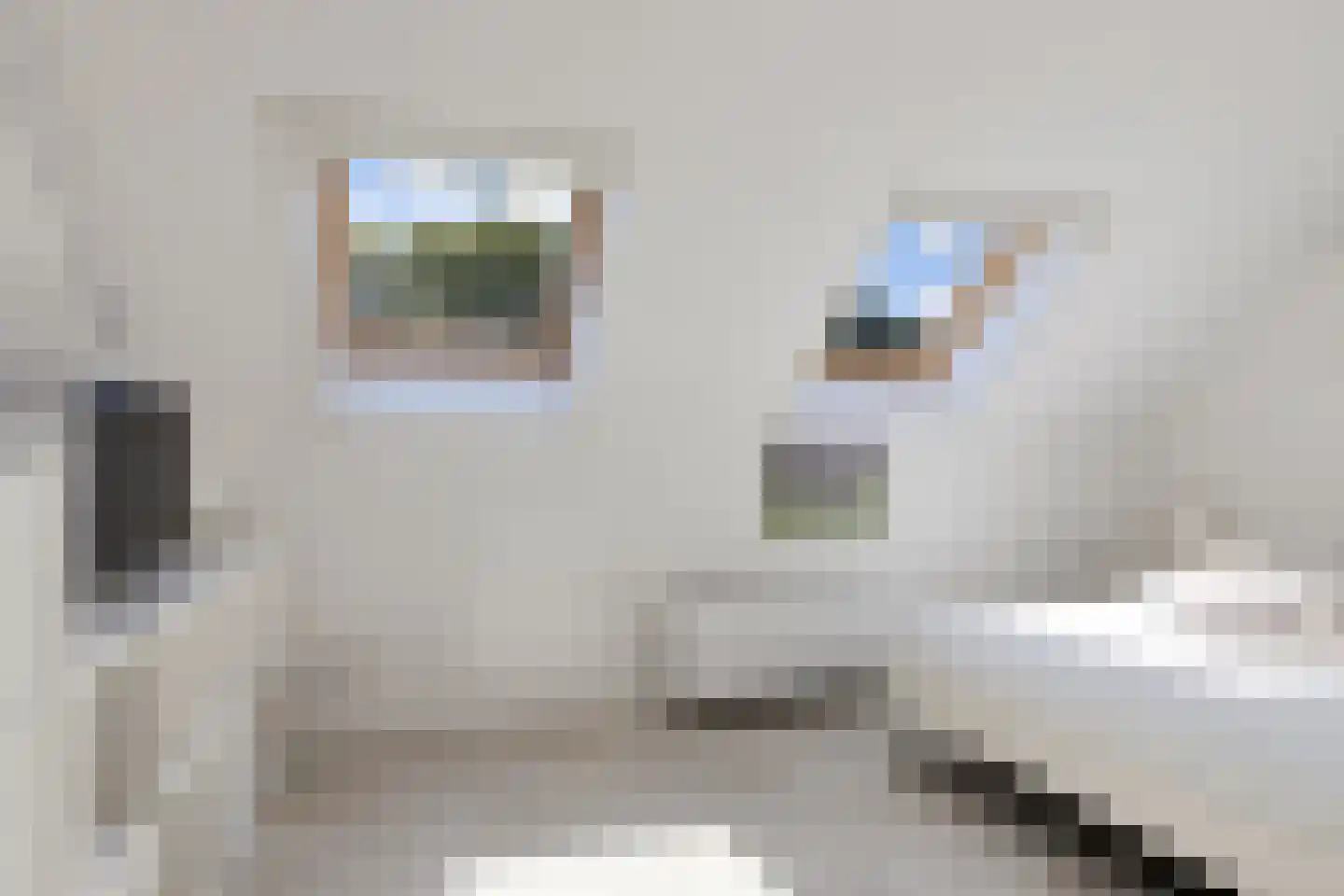 Mottenbrink 11 Onnen thumbnail 31