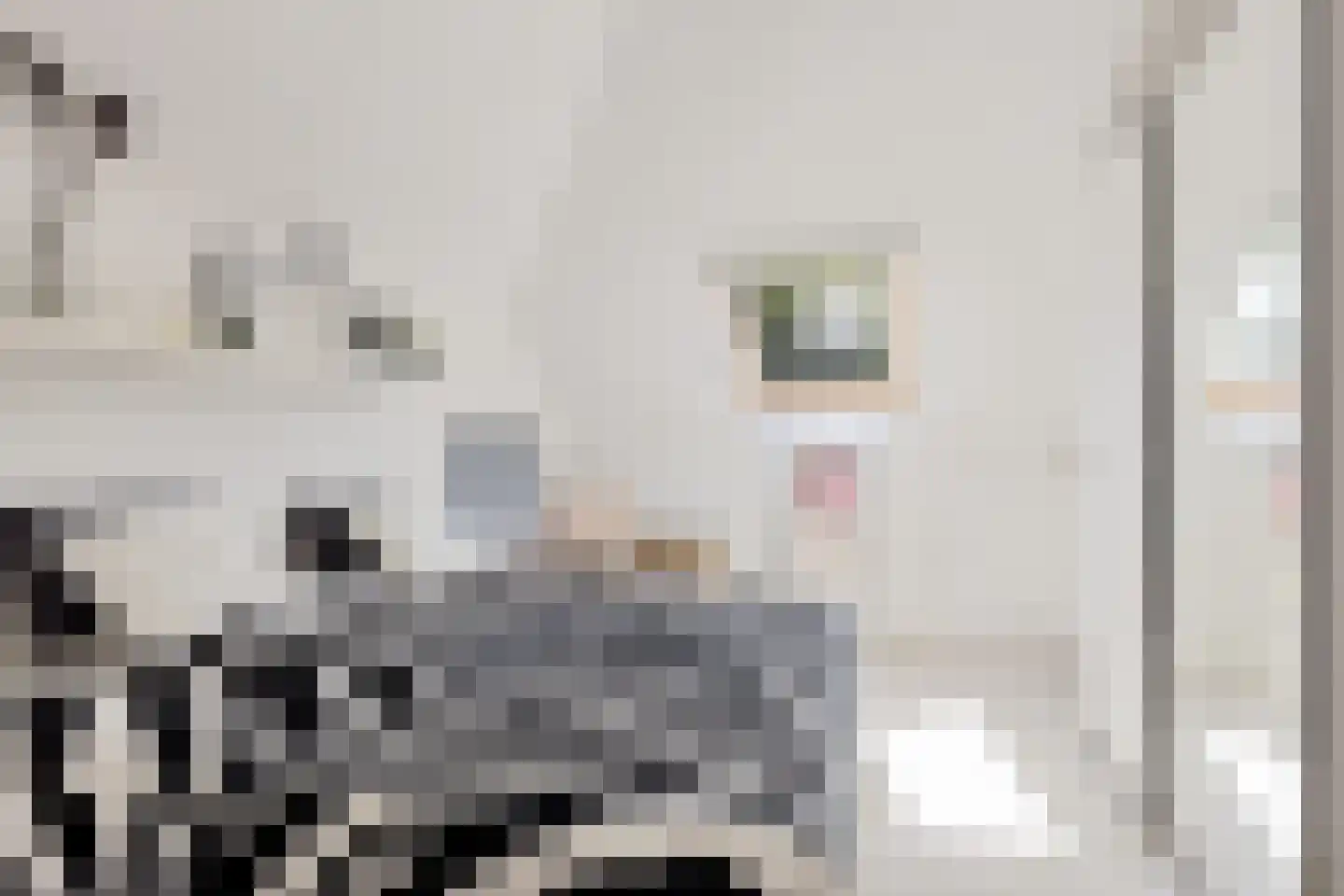 Mottenbrink 11 Onnen thumbnail 34