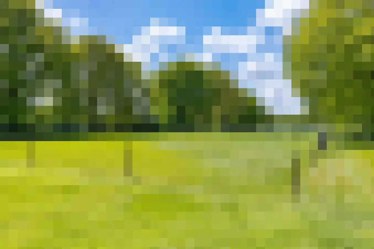 Mottenbrink 11 Onnen thumbnail 44