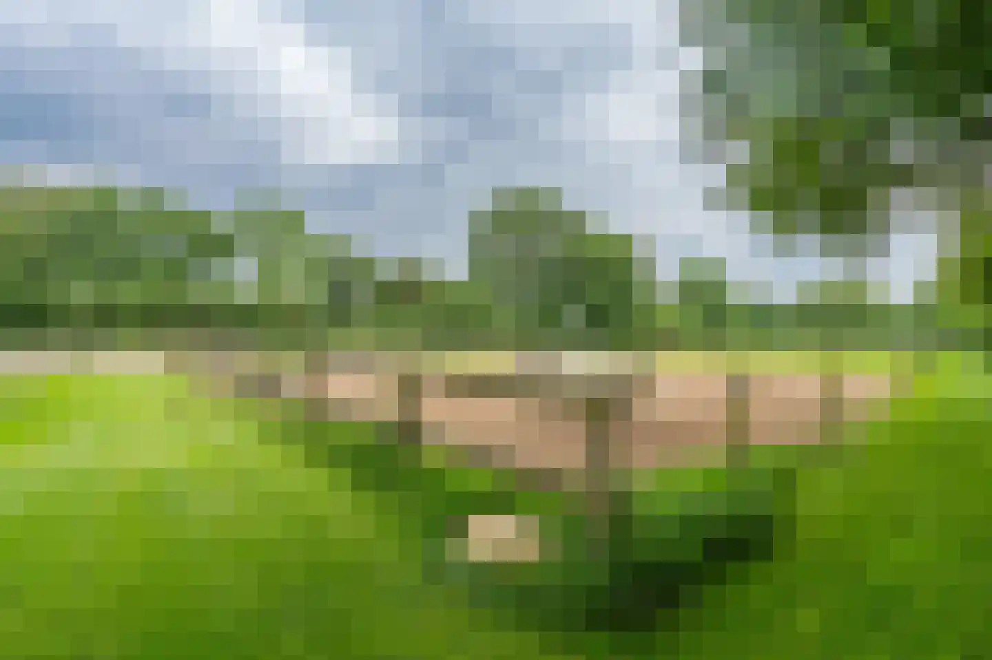 Mottenbrink 11 Onnen thumbnail 55
