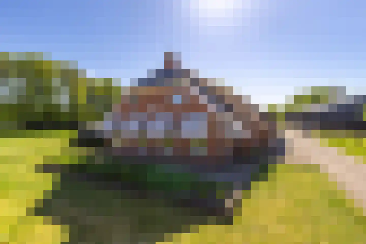 Mottenbrink 11 Onnen thumbnail 67