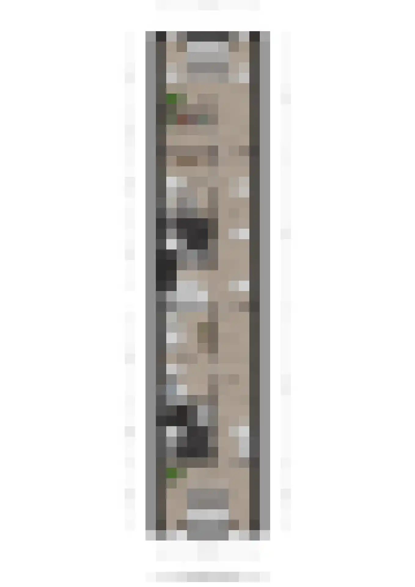 Mottenbrink 11 Onnen thumbnail 69