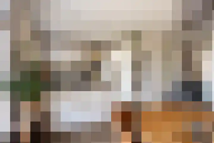 Mottoen 74 Uden thumbnail 12